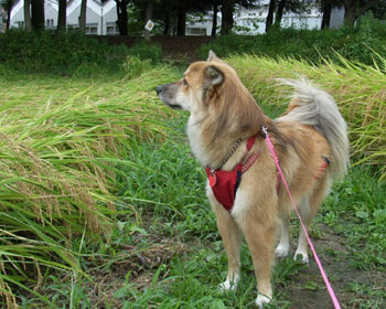 ��|��Ă���