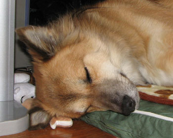 ���������Ă����������Ȃ���Q��