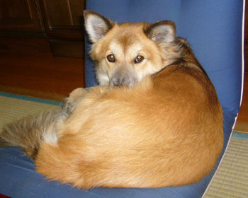 ���邭��̋G��