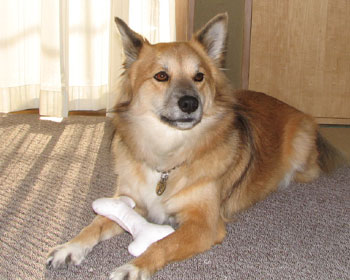 �������������V��łق������}