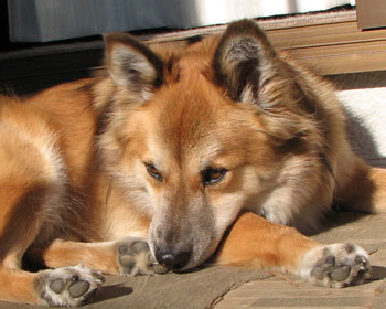 �����������Ɩ����Ȃ�