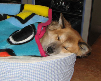 ���肪�����f