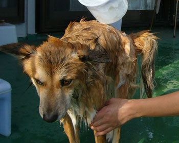 ������Ƃ����������Ɛ����