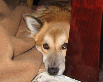 �ѕz��������