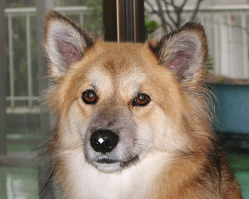 �@���G��Ă�ƃS�~�����₷��