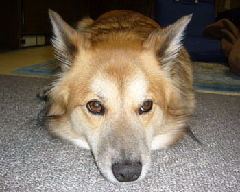 ������܂��Ƃ�����������