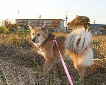 ���̒��ɂȂɂ�����񂾂��