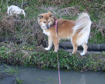 ���킢�E�E�E