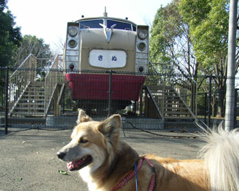 �S�q����Ȃ���