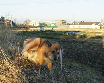 ��������̃`�[