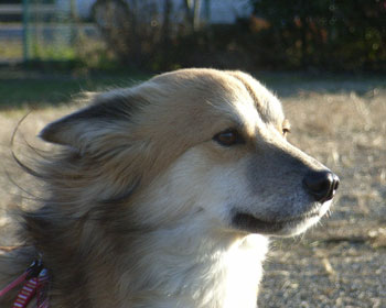 �g�~�����Ǖ��͋�����