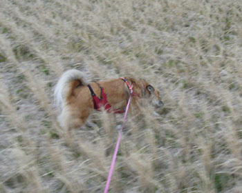 ��������������Ƃ��͖ڂ��Ԃ�Ƃ�����