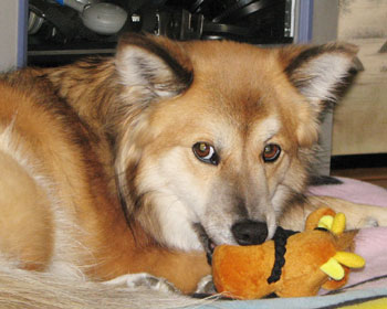 �x�b�h�ɂ���������