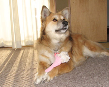 �����Ȃ��Ă�