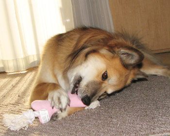 ������|��