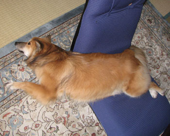 �����邾���łȂ��A����̂��v��