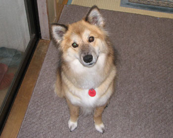 �����ƌ���Ǝ񂪋Ȃ���