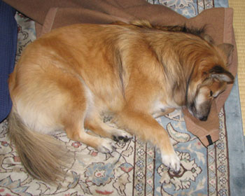 �ѕz����D��