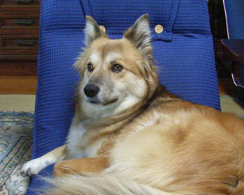 ���֎q����D��