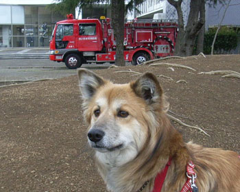 �ق�ˁA�S�q����Ȃ��񂾂�