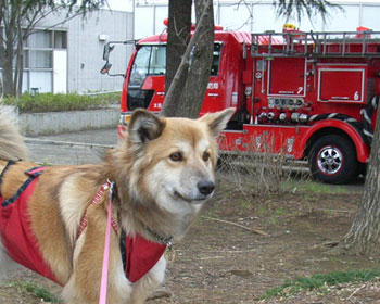 ��������������ߊ���Ă݂�