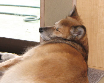 ���̊p�x����������