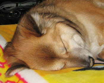 �Ȃ�ŕ@�ɓy���H