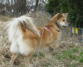 �W������ƕБ����オ��