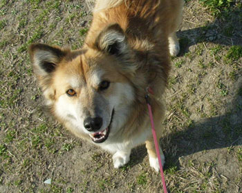 �j�b�R������Ƃ������