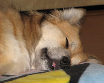 �o�J�ʂł�������