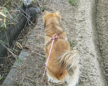 �������Ă����A������