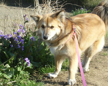 �n�i�_�C�R���Ǝ�