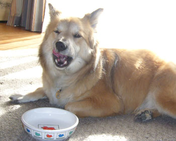 ���������H