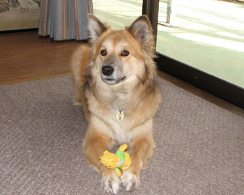 �v�[����ƗV��