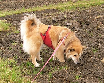 �J�オ��̓c��ڂɓ��荞��