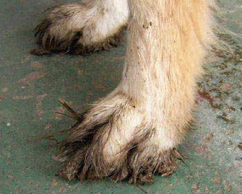 �v���Ԃ�̃Q�^��