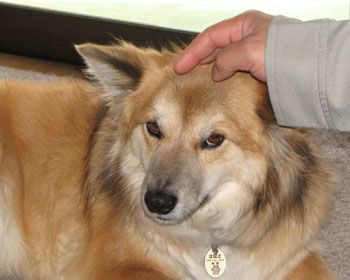 ���₢��Ȃł���