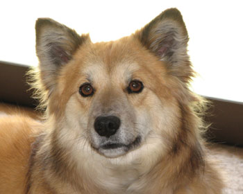 ���Ƃ��@���Ȋ�