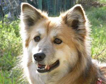 ���ꂽ���̎����B��