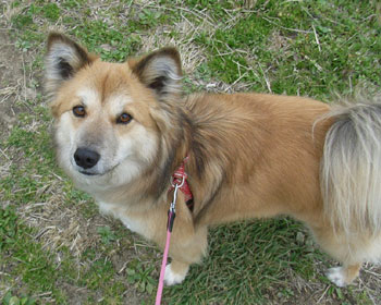 ����ق����ł�