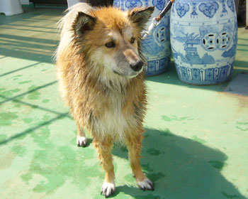 �ҏ��Ő��ꂽ