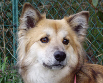 ���������V���[�v