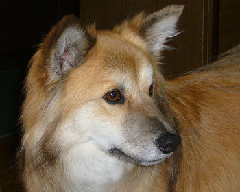 ����͂���͂Q�W����