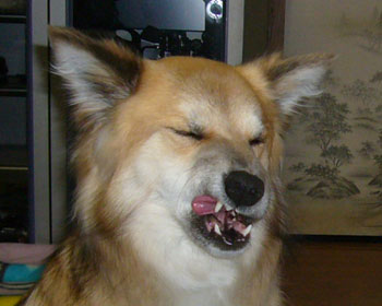 ���i�Ȋ���B��ꂽ