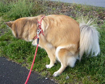 �Ⴄ�̂킩��H