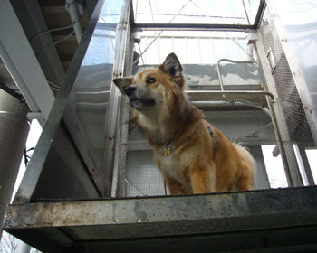 ���N�����Ă�����Ȃ�