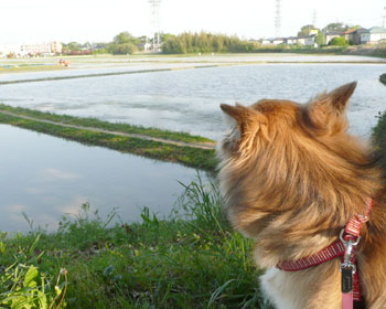 ���������ǂ��Ղ�