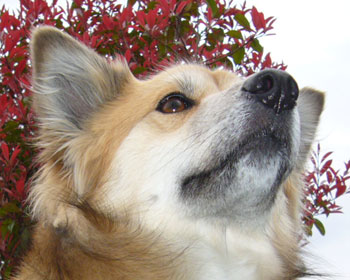 ���C�Ȍ��͕@���G��Ă܂�