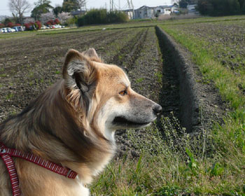 �E�l�|�̋G��