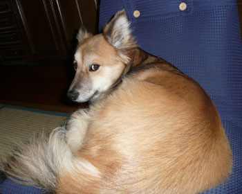 �B�e�҂���₩�Ɍ���